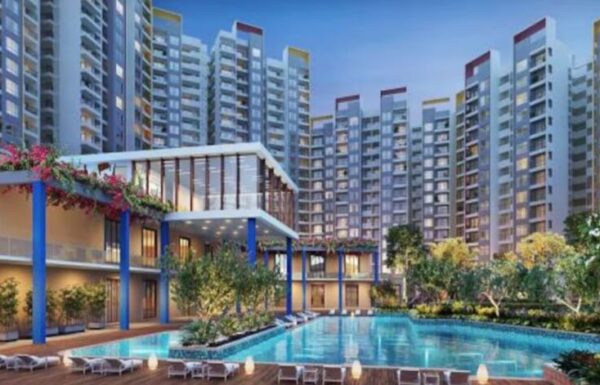 the dualis by shapoorji pallonji