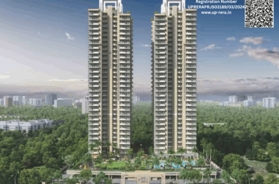 Irish Platinum – The Treasure Chest of Living