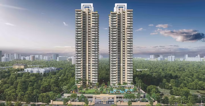 Irish Platinum_bop.in